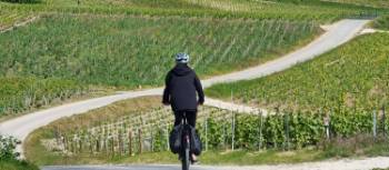 Cycling the Champagne trails of France | Sue Marr
