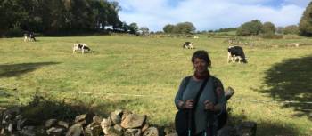 Rachel walked the Camino from Sarria to Santiago | Rachel Mordy