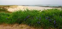 Beach in Herm, Guernsey