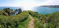 Pea stacks in Guernsey