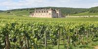 Wine Tours in Europe