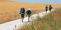 Walkers on the meseta, Camino