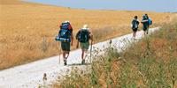 Walkers on the Camino