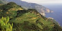 Walkers will enjoy exploring the hills above the Cinque Terre