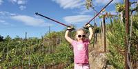 The Cinque Terre is a great family walking holiday destination