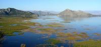 Croatia and Montenegro holidays - see Lake Skadar - UTracks travel