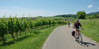 Cycling in Alsace