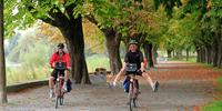 Cyclists-at-Lake-Constance