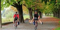 Cyclists-at-Lake-Constance