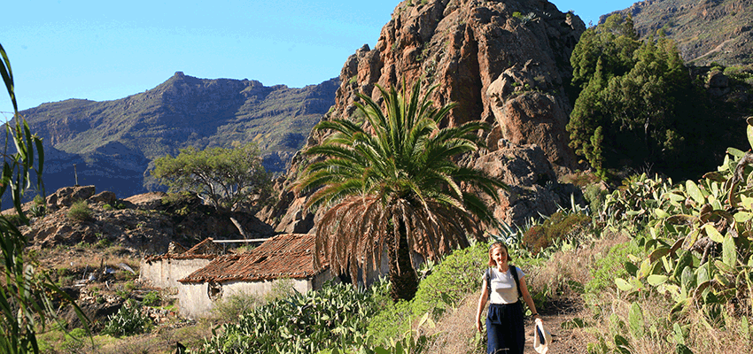 Crisscross the southern part of La Gomera (one of the smallest European islands) on foot