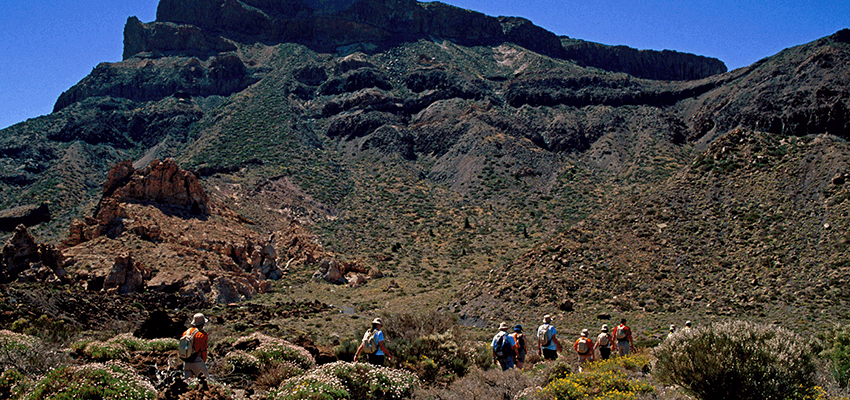 Explore Tenerife's varied landscape on a winter walking holiday