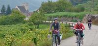 Cycling in Wachau Valley, Austria with UTracks travel