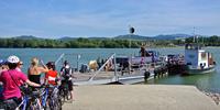 Cyclists taking the ferry to Szob