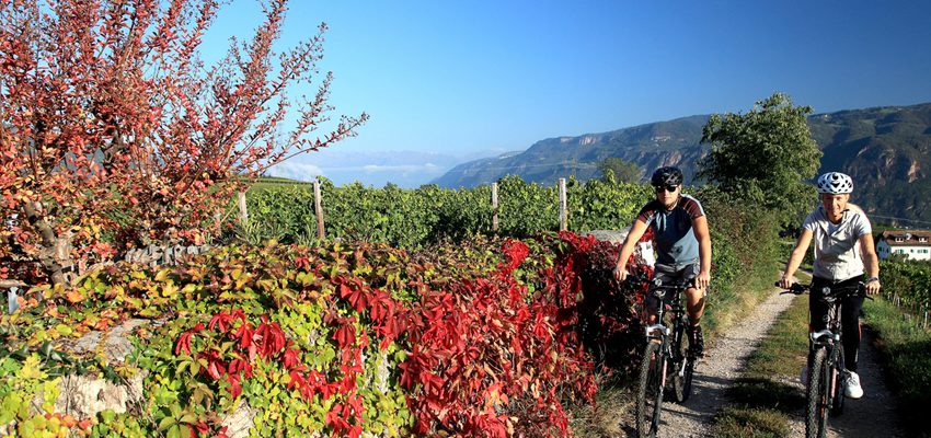 Cyclists near Lake Constance in Germany