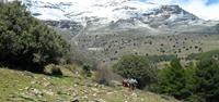 Walking near the Sierra Nevada, Spain - UTracks Travel