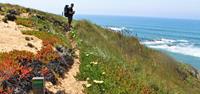 Hiker on the Rota Vicentina