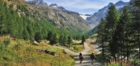 Hikers in Gran Paradiso National Park