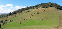 Scenic countryside on Romania hiking trips with UTracks Travel