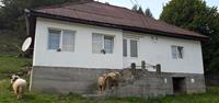 Rural countrylife on Romania walking holidays