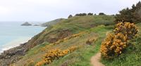 Circular walk around Herm island