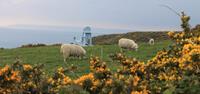 Lone blue chair on the island of Sark