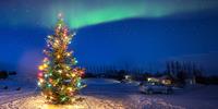 The lights in the sky are the real attraction during an Icelandic Christmas.
