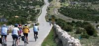 Guide leading the way - cycling in Croatia - UTracks