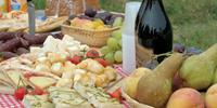 Delicious Tuscan produce, Italy