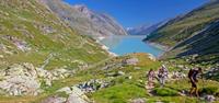 A group on the Tour de Monte Rosa Walk