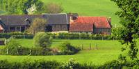 Watch the leaves change colour during autumn in Normandy