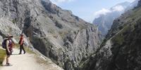 The Picos de Europa offers walkers rugged & wild mountain scenery
