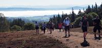 Pilgrims on the Camino de Santiago trail