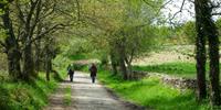 Pilgrims on the Spanish Camino