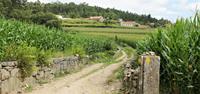 The Portuguese Way is a quieter but no less beautiful alternative to the Camino routes in Spain