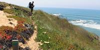 Europe's best new walks for 2016: Portugal's Rota Vicentina