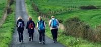 Group walking on the Camino