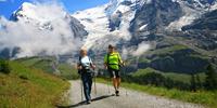 Walkers below Monch and Jungfrau on the Alpine Pass Route