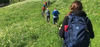 Group on Mont Blanc Guided Walk