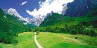 The wonderful - and green - Julian Alps