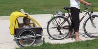 Child in a trailer, Loire Valley, France