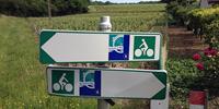 Cycle the Loire a velo cycle path