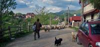 travel reviews - hiking in romania with UTracks - towns of Transylvania