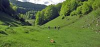 Bucegi Mountains are home to a diverse range of landscapes