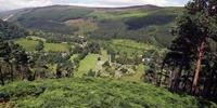 Looking down on Glendalough along the Wicklow Way