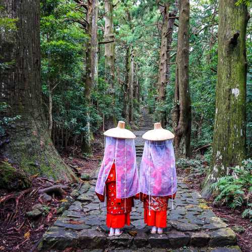 Explore Japan at your paceon a self-guided hiking tour