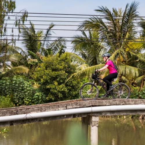 Beautiful colour as we cycle the Mekong Delta