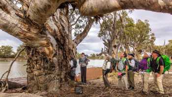 Murray River Walk GWOA logo,Murray River Walk Admiring the views along River Red Gum Calperum Station