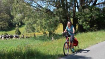 Cycling past fields with cows grazing in the Southern Highlands,Kate Baker Cycling past fields with cows grazing in the Southern Highlands