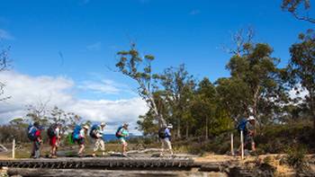 Maria Island Walk,Tourism Tasmania and Rob Burnett Explore the stunning Maria Island on this guided walk