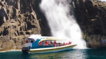 The spectacular coast of Bruny island and the Tasman Peninsula,Pennicott Wilderness Journeys Exploring this rugged coast by boat reveals a stunning wilderness experience